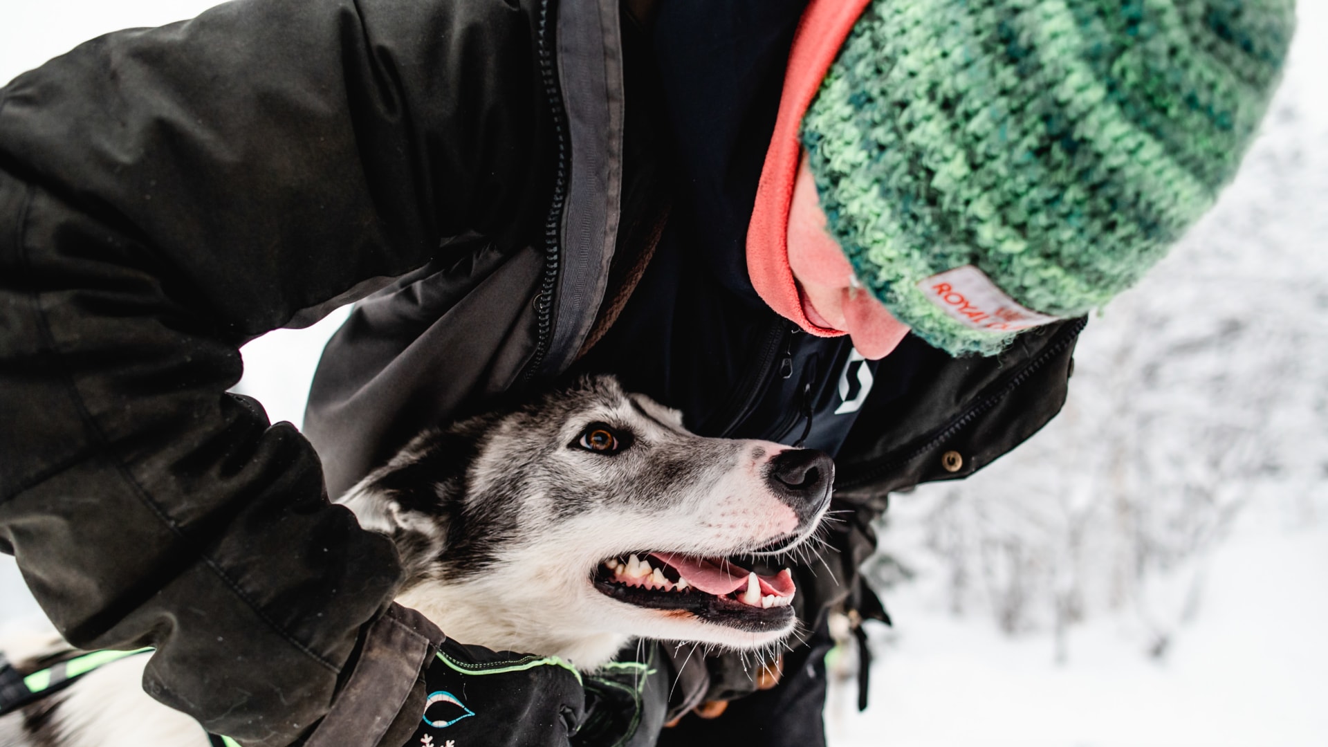 Einspannen des Husky